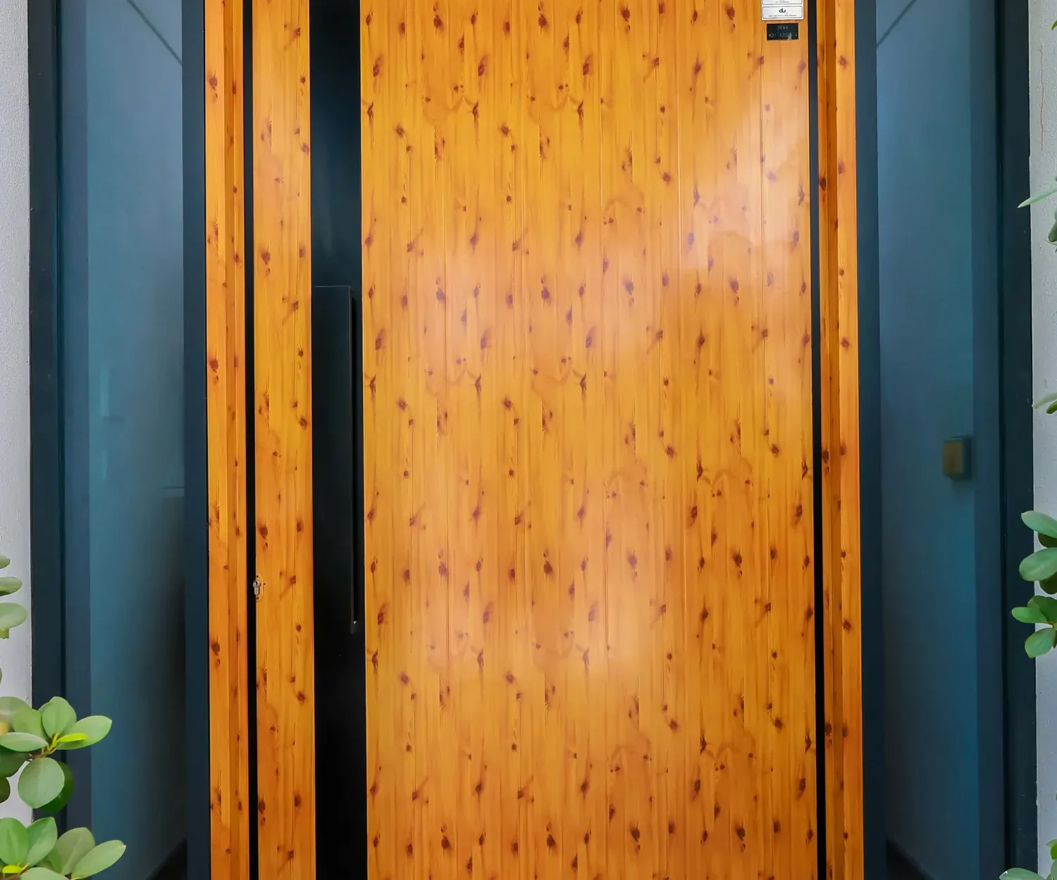 aluminum doors
